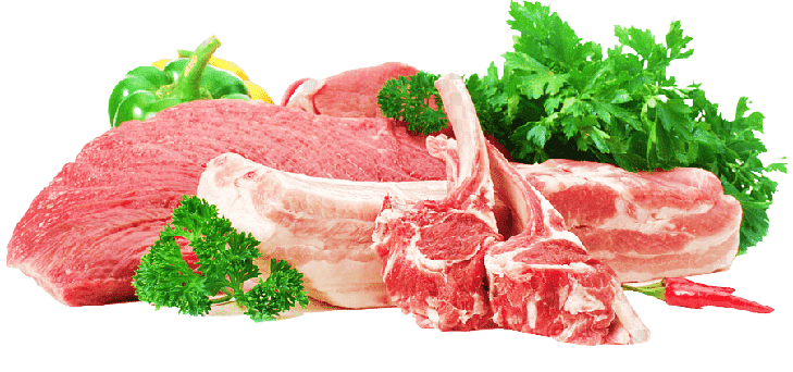 best fresh chicken shop in sivagangai